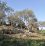 foto 1 - In Selvacava di Ausonia terreno a Frosinone in Vendita