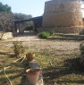 foto 7 - Tricase trullo con ampio giardino a Lecce in Affitto