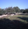 foto 4 - Tricase trullo con ampio giardino a Lecce in Affitto
