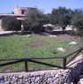 foto 3 - Tricase trullo con ampio giardino a Lecce in Affitto