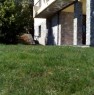 foto 4 - Alto villa singola a Cuneo in Vendita