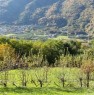 foto 3 - Mazzo di Valtellina rustico a Sondrio in Vendita