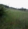 foto 1 - Neviano degli Arduini terreno montuoso agricolo a Parma in Vendita
