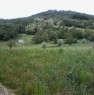 foto 0 - Neviano degli Arduini terreno montuoso agricolo a Parma in Vendita