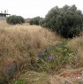 foto 1 - Saline Ioniche terreno edificabile a Reggio di Calabria in Vendita