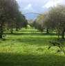 foto 4 - Villetta nelle campagne di Alghero a Sassari in Vendita