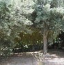 foto 9 - Buonfornello villino a Palermo in Vendita