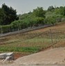 foto 1 - Polignano a Mare terreno agricolo a Bari in Vendita