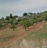 foto 0 - Polignano a Mare terreno agricolo a Bari in Vendita