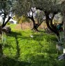 foto 3 - Terreno agricolo a Lanuvio a Roma in Vendita