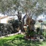 foto 22 - Pula appartamento con giardino a Cagliari in Affitto