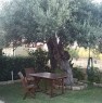 foto 8 - Pula appartamento con giardino a Cagliari in Affitto