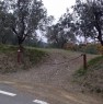 foto 5 - Carmignano terreno agricolo a Prato in Vendita