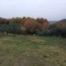 foto 3 - Carmignano terreno agricolo a Prato in Vendita