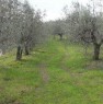 foto 0 - Carmignano terreno agricolo a Prato in Vendita