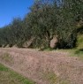 foto 5 - Capannoli terreno con annessi agricoli a Pisa in Vendita
