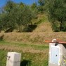 foto 4 - Capannoli terreno con annessi agricoli a Pisa in Vendita