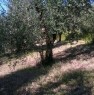 foto 3 - Capannoli terreno con annessi agricoli a Pisa in Vendita