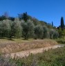 foto 1 - Capannoli terreno con annessi agricoli a Pisa in Vendita