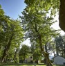 foto 2 - Arezzo villa del 700 immersa in parco secolare a Arezzo in Affitto