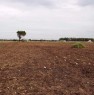 foto 1 - Vernole terreno seminativo a Lecce in Vendita