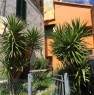 foto 2 - Riparbella appartamento con giardino a Pisa in Vendita