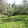 foto 4 - Fosdinovo terreno agricolo a Massa-Carrara in Vendita