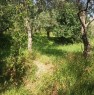 foto 3 - Fosdinovo terreno agricolo a Massa-Carrara in Vendita