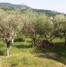 foto 1 - Fosdinovo terreno agricolo a Massa-Carrara in Vendita