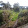 foto 0 - Palmi terreno agricolo pianeggiante a Reggio di Calabria in Vendita