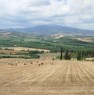 foto 6 - Pienza casale da ristrutturare Val d'Orcia a Siena in Vendita