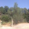 foto 6 - Isca sullo Ionio terreno agricolo con casa a Catanzaro in Vendita