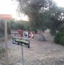 foto 2 - Ruffano terreno a uliveto a Lecce in Vendita