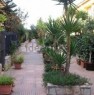 foto 4 - Aspra villa a schiera a Palermo in Vendita
