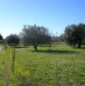 foto 3 - Serradifalco terreno pianeggiante edificabile a Caltanissetta in Vendita