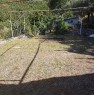 foto 12 - Pico uliveto e casa rurale a Frosinone in Vendita