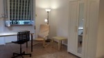 Annuncio affitto Quartiere Trieste Salario appartamento