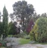 foto 4 - Asola cascina con giardino a Mantova in Vendita