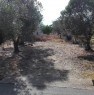foto 2 - Parabita terreno agricolo a Lecce in Vendita