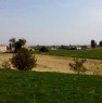 foto 7 - Piove di Sacco terreni e fabbricati agricoli a Padova in Vendita