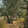 foto 3 - Ceriale terreno agricolo a Savona in Vendita