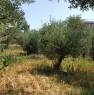 foto 0 - Ceriale terreno agricolo a Savona in Vendita
