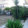 foto 3 - Centobuchi di Monteprandone casa a Ascoli Piceno in Vendita