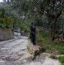 foto 2 - Salvitelle villa singola a Salerno in Vendita