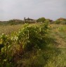 foto 2 - Monsummano Terme terreno con vigna a Pistoia in Vendita