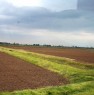 foto 0 - Nella pianura vercellese azienda agricola a Vercelli in Vendita