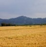 foto 1 - Vercelli lotto di terreni agricoli a Vercelli in Vendita