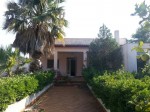 Annuncio vendita Sava villa con ampio giardino