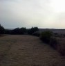 foto 4 - Tresnuraghes uliveto vista mare a Oristano in Vendita