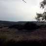 foto 3 - Tresnuraghes uliveto vista mare a Oristano in Vendita